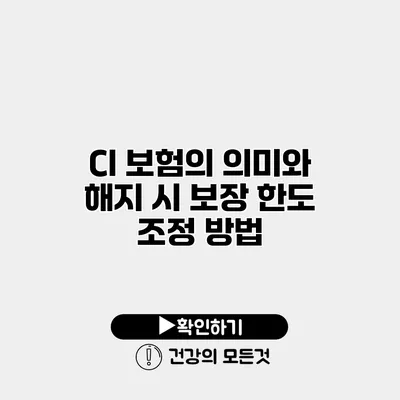 CI 보험의 의미와 해지 시 보장 한도 조정 방법