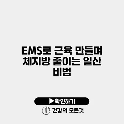 EMS로 근육 만들며 체지방 줄이는 일산 비법