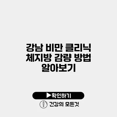 강남 비만 클리닉 체지방 감량 방법 알아보기