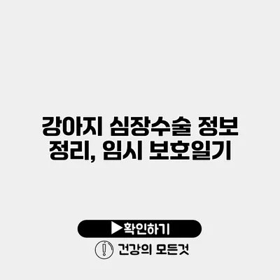 강아지 심장수술 정보 정리, 임시 보호일기