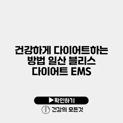 건강하게 다이어트하는 방법 일산 블리스 다이어트 EMS