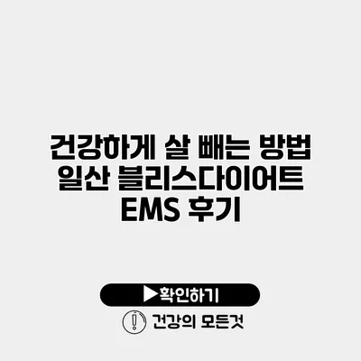 건강하게 살 빼는 방법 일산 블리스다이어트 EMS 후기