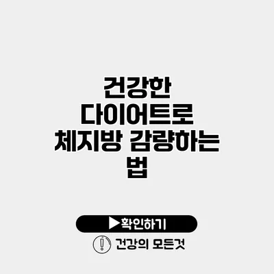 건강한 다이어트로 체지방 감량하는 법
