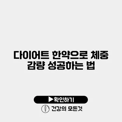 다이어트 한약으로 체중 감량 성공하는 법