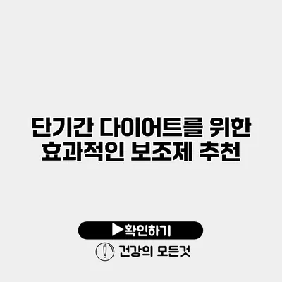 단기간 다이어트를 위한 효과적인 보조제 추천