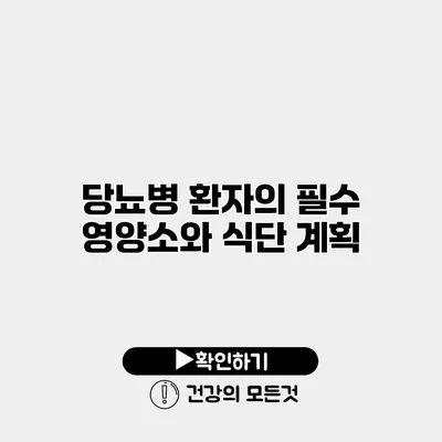 당뇨병 환자의 필수 영양소와 식단 계획
