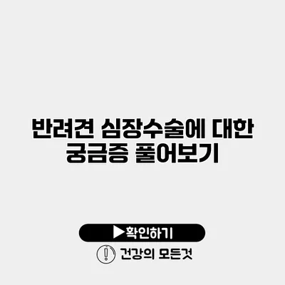 반려견 심장수술에 대한 궁금증 풀어보기