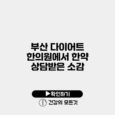 부산 다이어트 한의원에서 한약 상담받은 소감