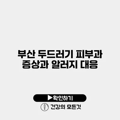 부산 두드러기 피부과 증상과 알러지 대응