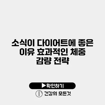 소식이 다이어트에 좋은 이유 효과적인 체중 감량 전략
