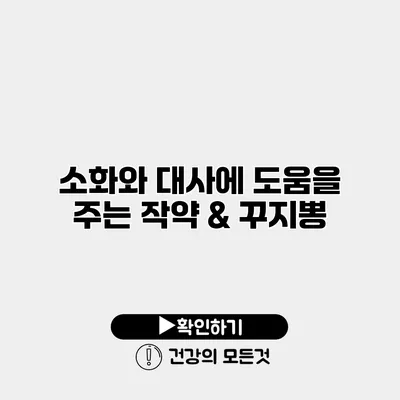 소화와 대사에 도움을 주는 작약 & 꾸지뽕
