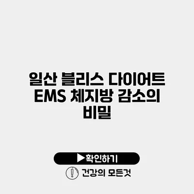 일산 블리스 다이어트 EMS 체지방 감소의 비밀