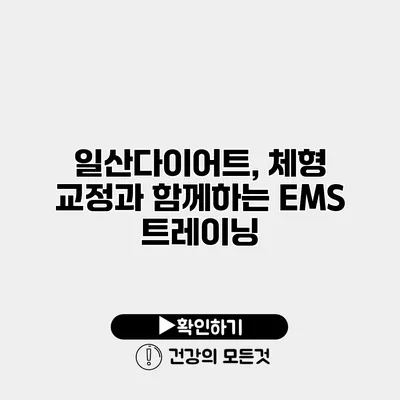 일산다이어트, 체형 교정과 함께하는 EMS 트레이닝