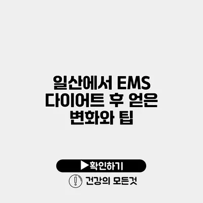 일산에서 EMS 다이어트 후 얻은 변화와 팁