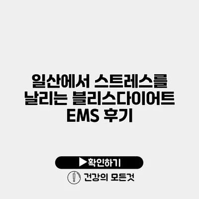 일산에서 스트레스를 날리는 블리스다이어트 EMS 후기