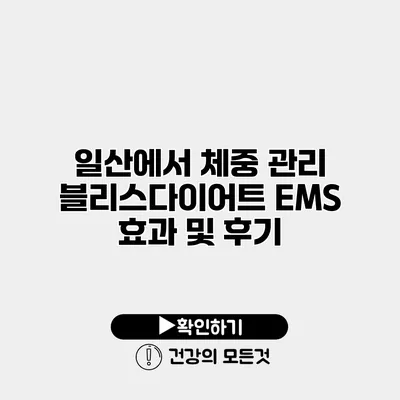 일산에서 체중 관리 블리스다이어트 EMS 효과 및 후기