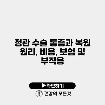 정관 수술 통증과 복원 원리, 비용, 보험 및 부작용