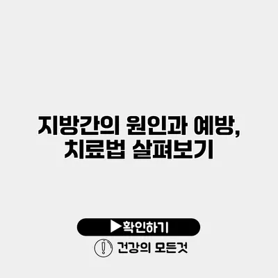 지방간의 원인과 예방, 치료법 살펴보기