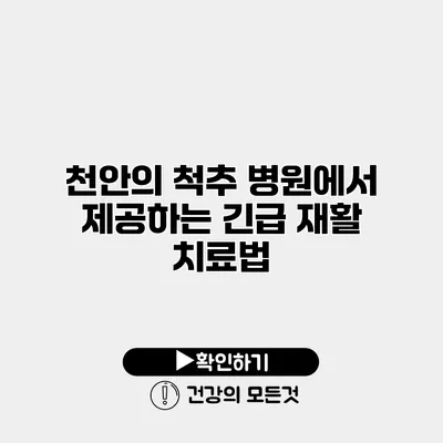 천안의 척추 병원에서 제공하는 긴급 재활 치료법