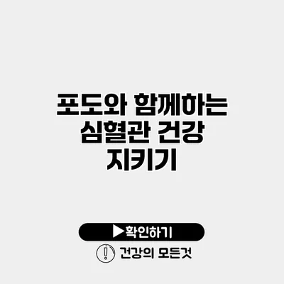 포도와 함께하는 심혈관 건강 지키기