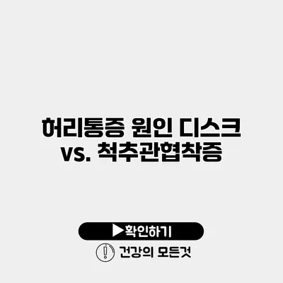 허리통증 원인 디스크 vs. 척추관협착증