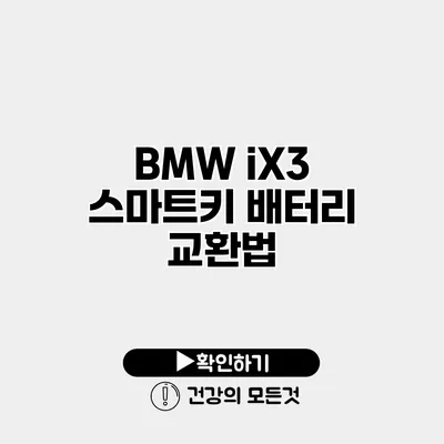 BMW iX3 스마트키 배터리 교환법