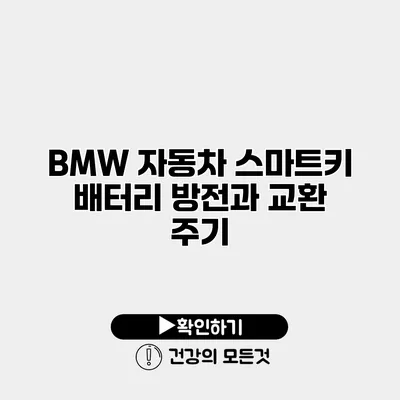 BMW 자동차 스마트키 배터리 방전과 교환 주기