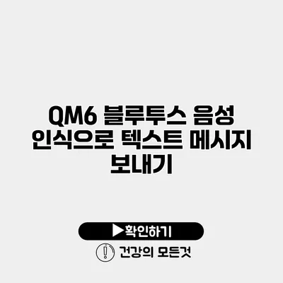 QM6 블루투스 음성 인식으로 텍스트 메시지 보내기