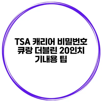 TSA 캐리어 비밀번호 큐랑 더블린 20인치 기내용 팁