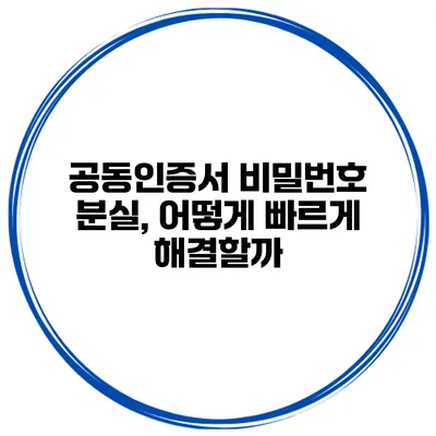 공동인증서 비밀번호 분실, 어떻게 빠르게 해결할까?