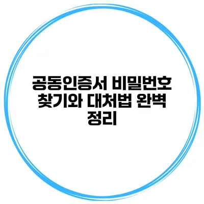 공동인증서 비밀번호 찾기와 대처법 완벽 정리