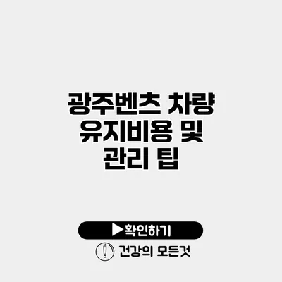 광주벤츠 차량 유지비용 및 관리 팁