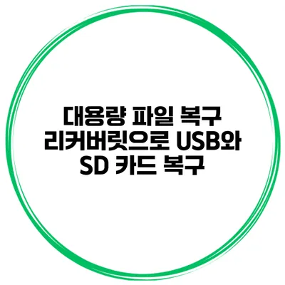대용량 파일 복구 리커버릿으로 USB와 SD 카드 복구