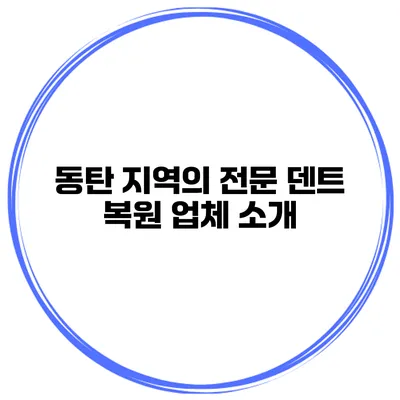 동탄 지역의 전문 덴트 복원 업체 소개
