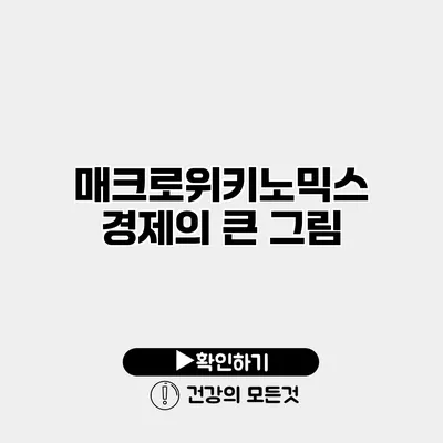 매크로위키노믹스 경제의 큰 그림
