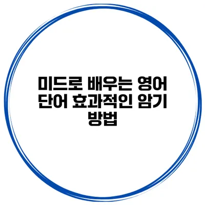 미드로 배우는 영어 단어 효과적인 암기 방법