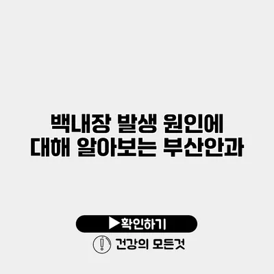 백내장 발생 원인에 대해 알아보는 부산안과