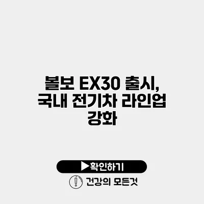 볼보 EX30 출시, 국내 전기차 라인업 강화