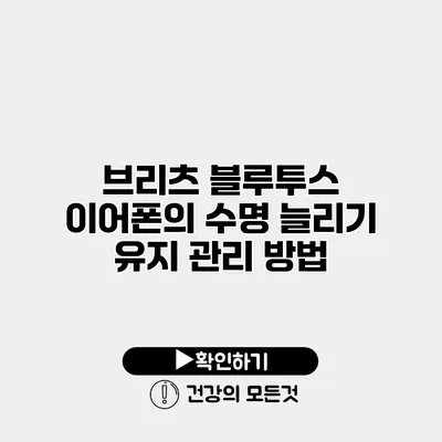 브리츠 블루투스 이어폰의 수명 늘리기 유지 관리 방법