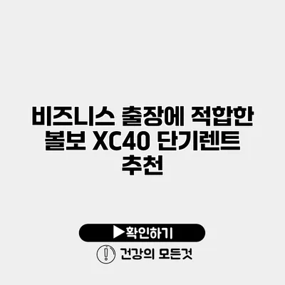 비즈니스 출장에 적합한 볼보 XC40 단기렌트 추천