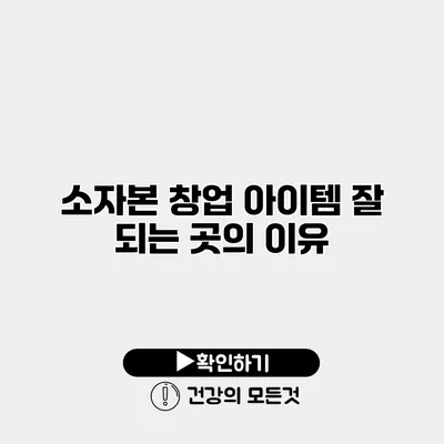 소자본 창업 아이템 잘 되는 곳의 이유