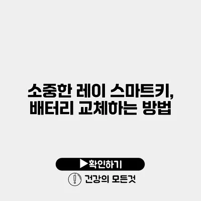 소중한 레이 스마트키, 배터리 교체하는 방법