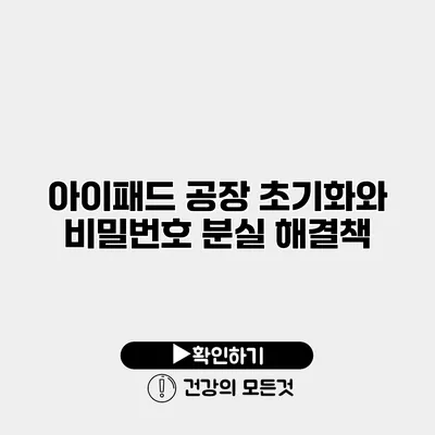 아이패드 공장 초기화와 비밀번호 분실 해결책