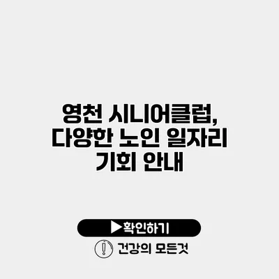영천 시니어클럽, 다양한 노인 일자리 기회 안내