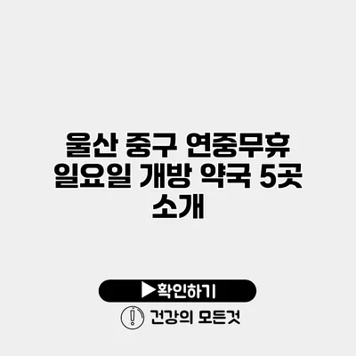 울산 중구 연중무휴 일요일 개방 약국 5곳 소개