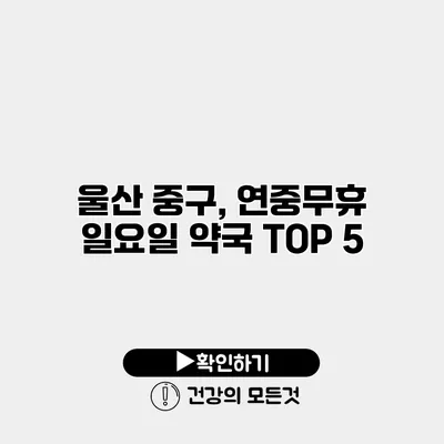 울산 중구, 연중무휴 일요일 약국 TOP 5