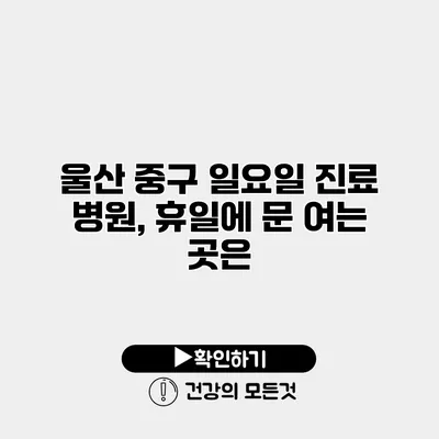 울산 중구 일요일 진료 병원, 휴일에 문 여는 곳은?