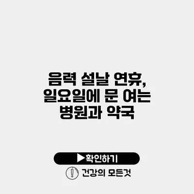 음력 설날 연휴, 일요일에 문 여는 병원과 약국
