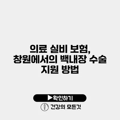 의료 실비 보험, 창원에서의 백내장 수술 지원 방법