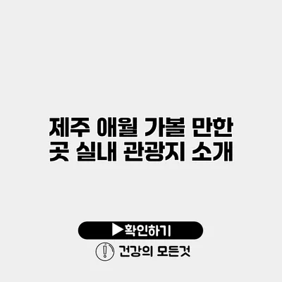 제주 애월 가볼 만한 곳 실내 관광지 소개